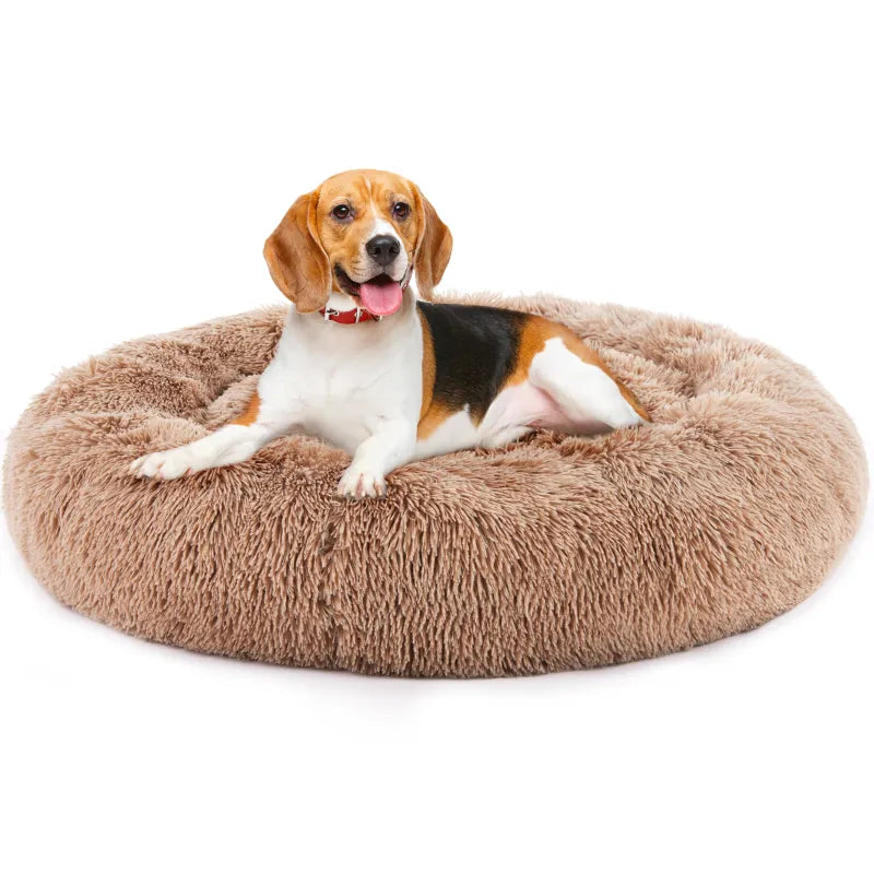 Dog resting in a round brown plush pet bed with a raised rim