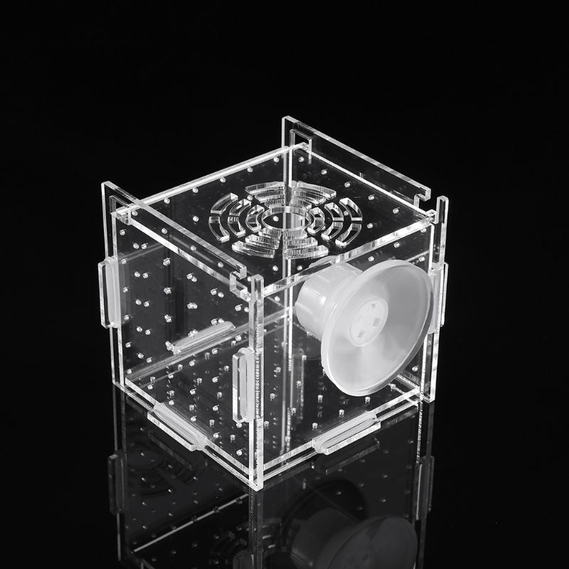 Breeding box detail