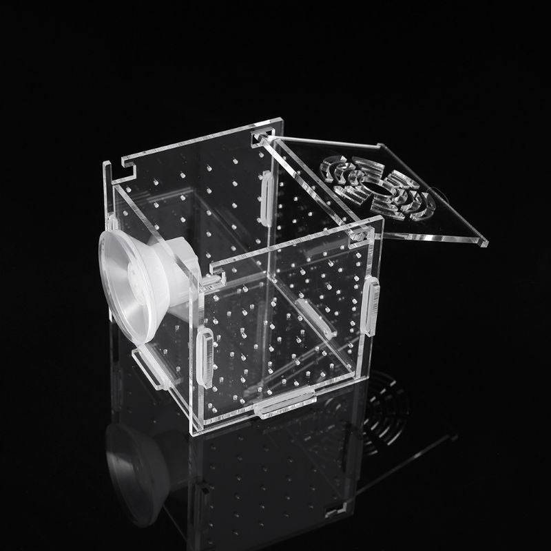 Aquarium breeding isolation box