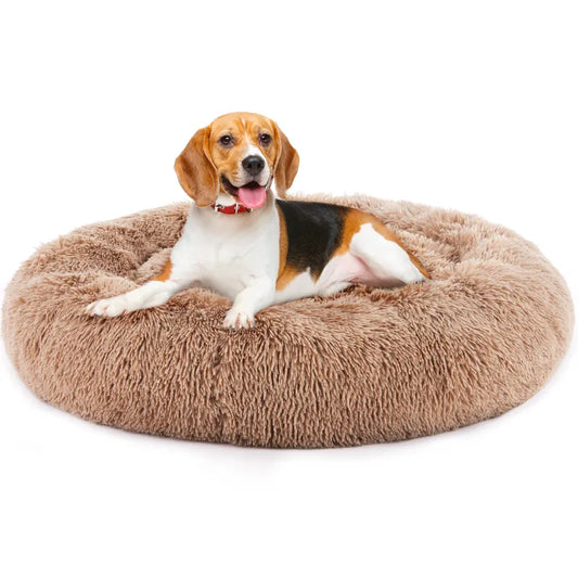 Dog resting in a round brown plush pet bed with a raised rim
