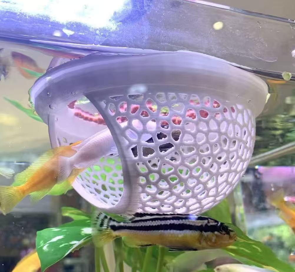 Floating betta log bed set