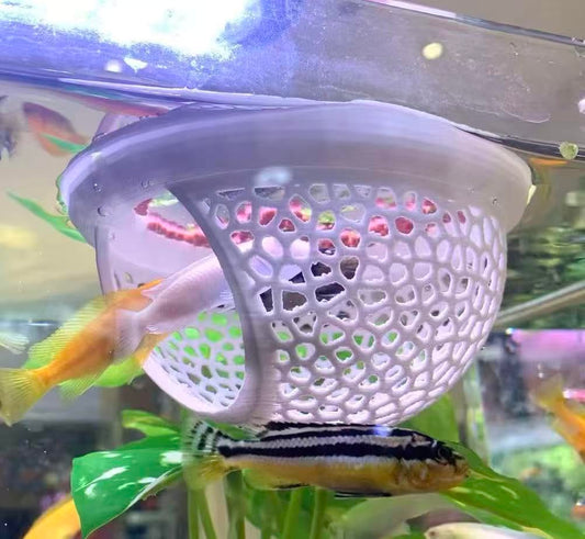 Floating betta log bed set