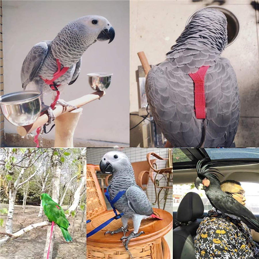 Bird harness detail
